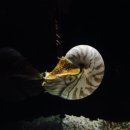 행복수족관 이미지