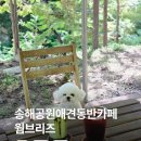 명곡로 | 대구 송해공원 카페 달성군 애견동반 가능한 웜브리즈