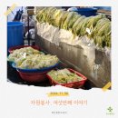 꼭찌 | 봉사] 241130 성인 개인 봉사활동 (6) │ 노인주간보호센터 김장 자원봉사 참여 후기 (feat.1365 자원봉사)