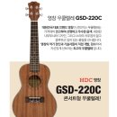 딩가딩가 우쿨렐레 | 영창 우쿨렐레 GSD-200C 사용후기 모음