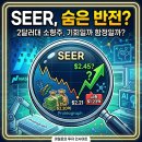 미래의료과학G1제1호개인투자조합 | 시어 SEER, 2달러대에 숨은 반전?