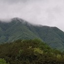 경북대학교 농업생명융합대학원 이미지