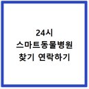 데이지동물병원 | 성남시 분당구 24시 스마트동물병원 위치 연락처 전화번호