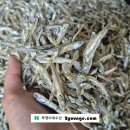 보길도식품 | 추석특가_중멸치(고주바/주바) 크기 4.6~7.6cm 내외