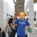 또 가영님 싸인 받는데 실패했어요.. 이미지