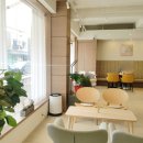 메이스 카페(Mays Cafe) 네이버블로그