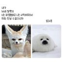 동그리케이크