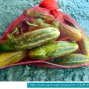 오병이어농장 이미지