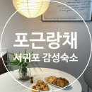 제주감성독채숙소 다빈(제주풀꽃) | 제주 서귀포 감성숙소 &#34;포근랑채&#34;, 실내자쿠지가 있는 독채펜션 솔직후기