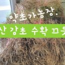 의주농장 이미지