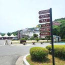 종로-연건-종로-연-206 | [안동 여행] 안동 가볼만한곳 안동 하회마을 솔직후기