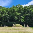 고랑포구 이미지