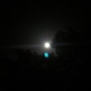 돌산캠핑장 이미지