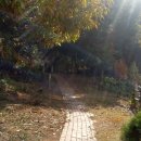 고래실공원 이미지