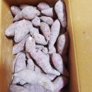 풍농농약종묘사 네이버블로그