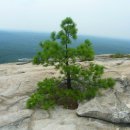 스톤마운틴 이미지