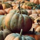 연천읍-5 | 연천읍 맛집 추천 동막골, 다온, 맘스터치