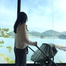 썬브릿지 | 부가부 드래곤플라이 썬캐노피 파인그린 사용후기 | 브릿지썬캐노피 부가부유모차악세사리 모기장 여름맞이