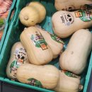 (주)콩앤별 | 10월 - 5 / 스페인 워홀러에게 TIE발급을 안해주는 도시가 있다...?