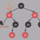 Black tree 이미지