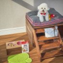 10월호텔 이미지