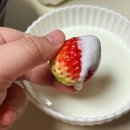 유리농원 | 겨울 설향딸기 솔직후기 류권호농원