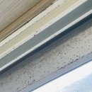 부성빌딩 이미지