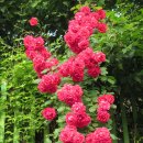 남한강변길 이미지