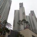 와이시티(아) 이미지