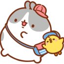 쭌스키친 이미지