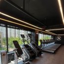 울프피트니스 이미지