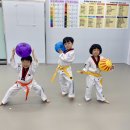 NBT 하이라이트 태권도장 이미지