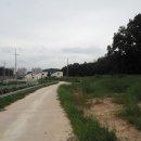 여주-0196 이미지