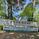 동서울오토테크닉 | 아차산 등산 후기(아차산 숨은 맛집 동서울왕족발)