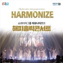 홀릭팝