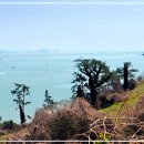 김명수한의원 이미지