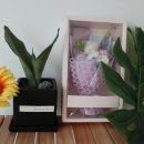 소소더하기 이미지