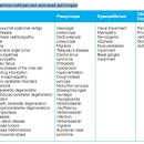 Cervicogenic Dizzines 이미지