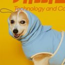 도그엔젤 이미지