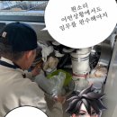 판교대장로5길 이미지