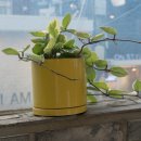 구르메식당 이미지