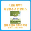 유향약국 이미지