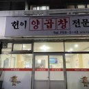 현이양이 이미지