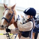 중원대학교 공공승마장 이미지