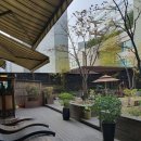 프리마스파 이미지