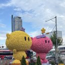 꿈돌이랜드노래연습장 | 대전 0시 축제 라인업 및 프로그램 일정(꿈돌이 호두과자 후기)