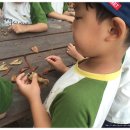 목감퍼스트어린이집 이미지