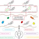 효능평가센터 이미지