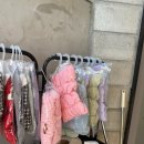 피터펫카페 일산점 | 일산 라페스타 귀여운 강아지와 힐링할 수 있는 피터펫 카페