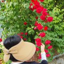 달빛고운민박 이미지